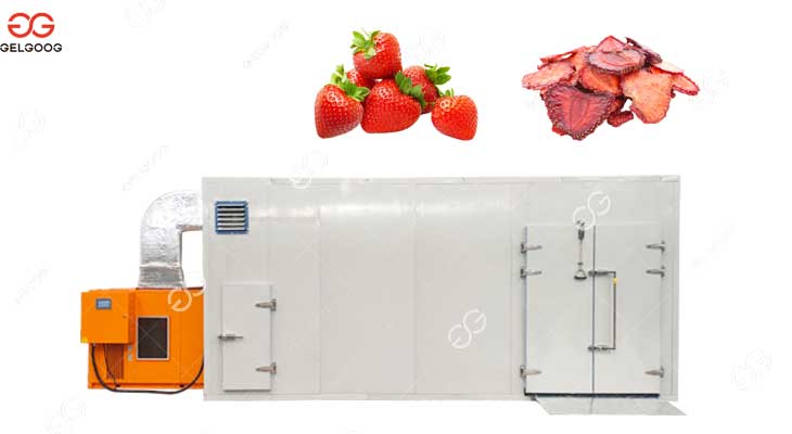 strawberry-dryer1 strawberry-dryer1