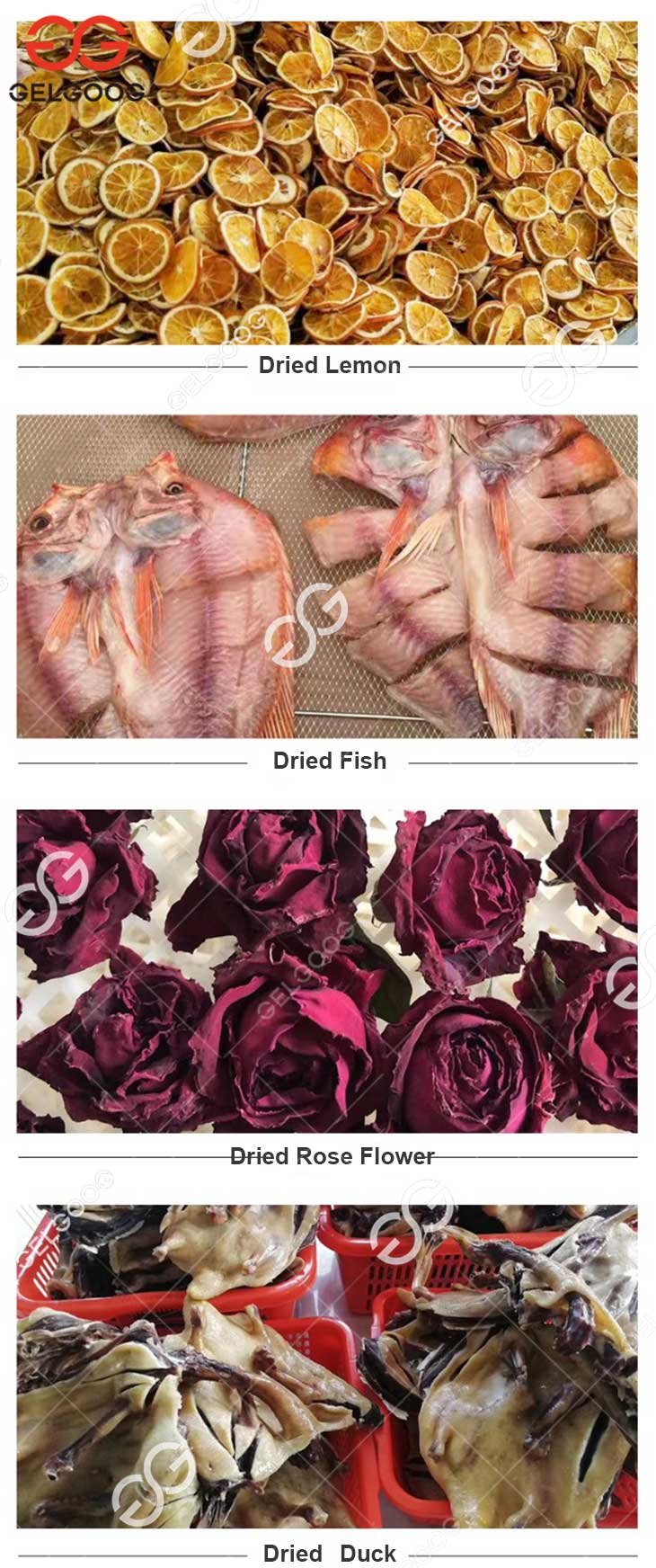 dried-foods dried-foods