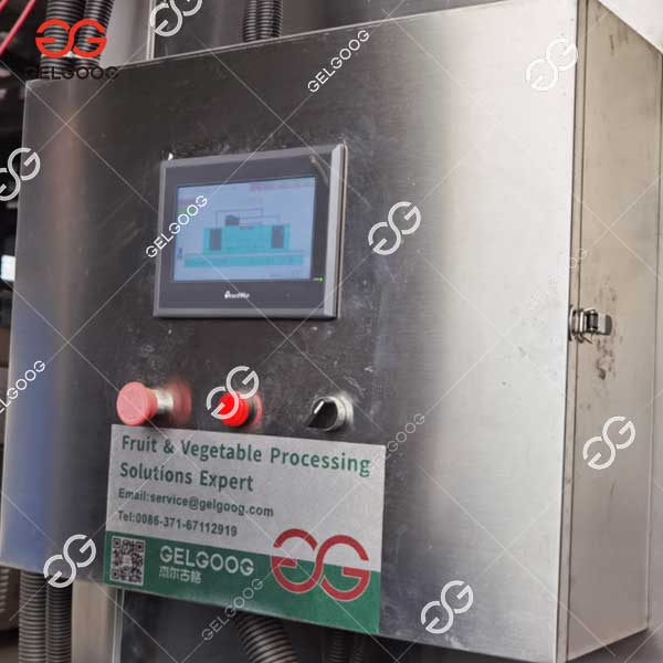 Frozen Clams Freezing Machine
