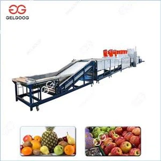 Automatische Obstwachsmaschinenlinie
