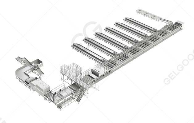 mango-washing-sorting-line mango-washing-sorting-line